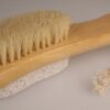 Pumice Backed Brush  (Scrub-17DS)