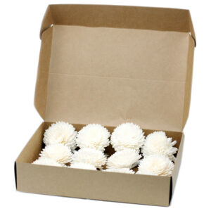 Natural Diffuser Flowers - Lrg Carnation on String  (Ndiff-01)