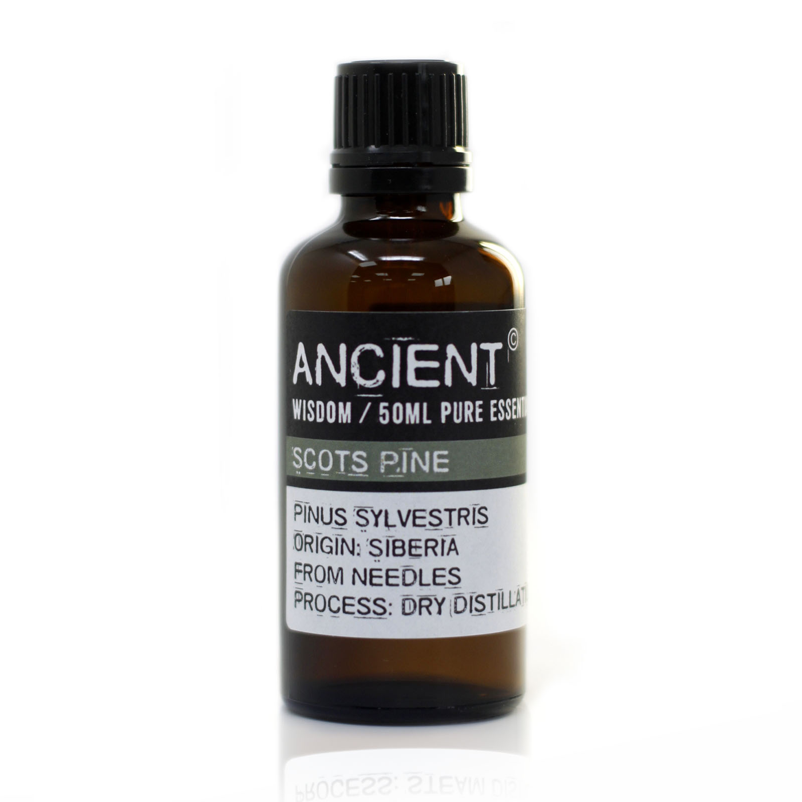 Pine Sylvestris (Scots Pine) 50ml Essential Oil (PrEO-45)