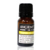 10 ml Jasmine Dilute Essential Oil  (EO-11)