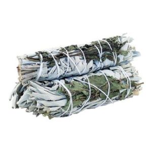 Smudge Stick - White Sage & Peppermint 10cm  (MSage-20)