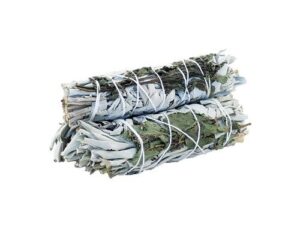 Smudge Stick - White Sage & Peppermint 10cm  (SmudgeS-21)