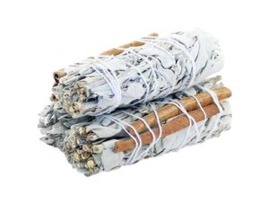 Smudge Stick - White Sage & Cinnamon 10cm  (SmudgeS-23)