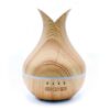 Palermo Atomiser - USB - Colour Change - Timer  (AATOM-18)