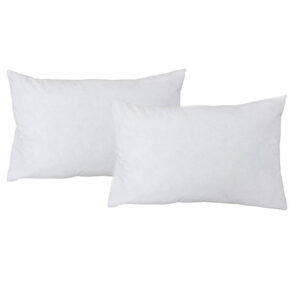 Inner Cushion 75x50 cm 650gm  (Inner-05DS)