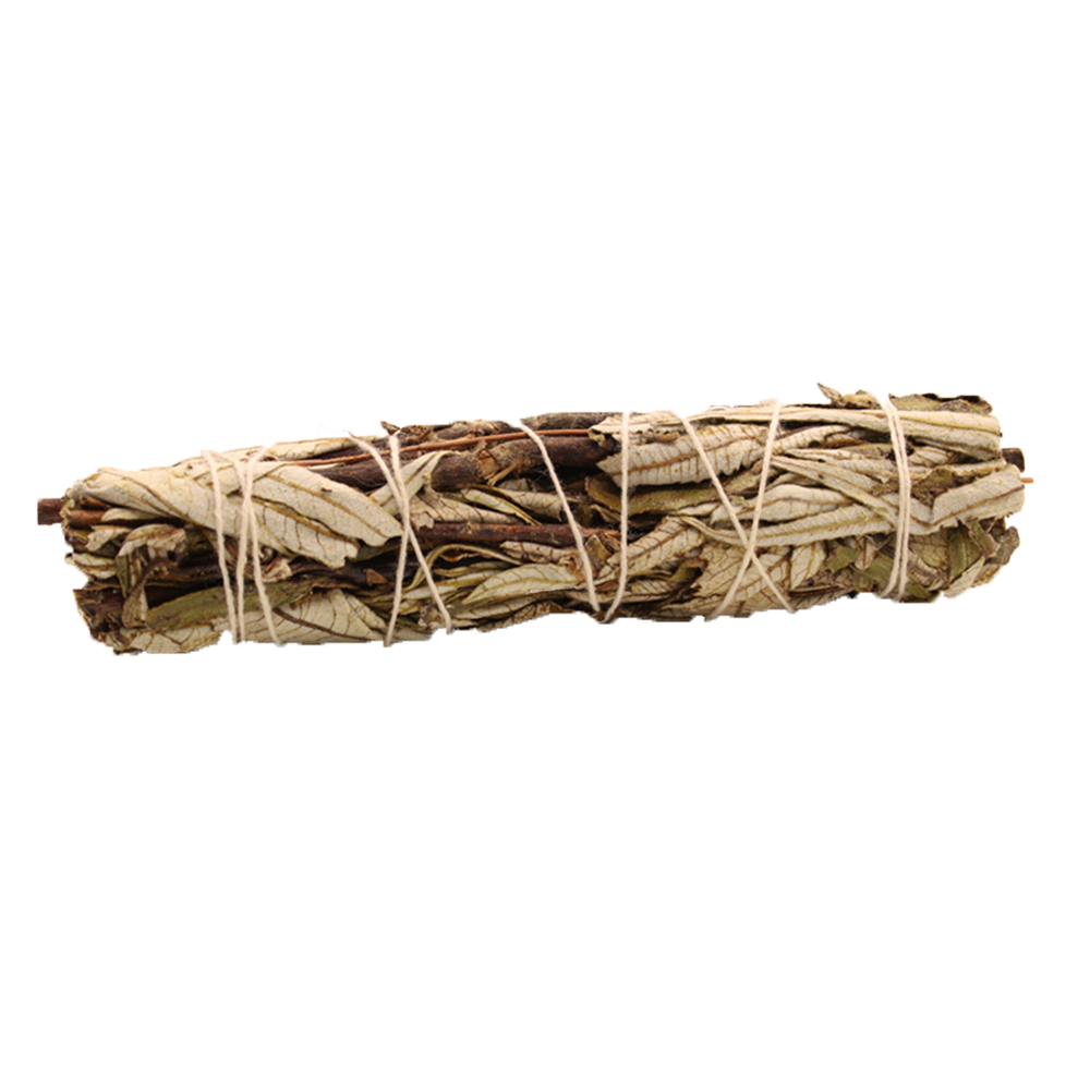 Smudge Stick - Black Sage 15cm  (SmudgeS-28)