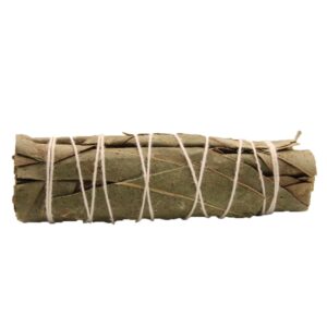 Smudge Stick - Eucalyptus Sage 10cm (SmudgeS-38)