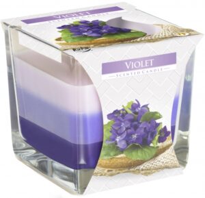 Rainbow Jar Candle - Violet  (RJC-02)
