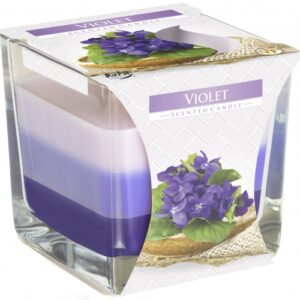 Rainbow Jar Candle - Violet  (RJC-02)