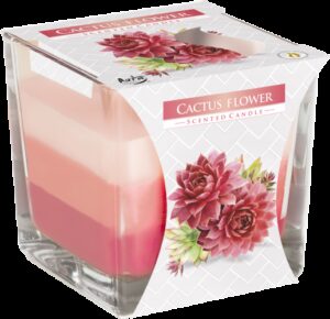 Rainbow Jar Candle - Cactus flower  (RJC-03)