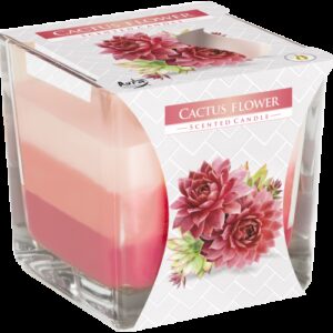 Rainbow Jar Candle - Cactus flower  (RJC-03)