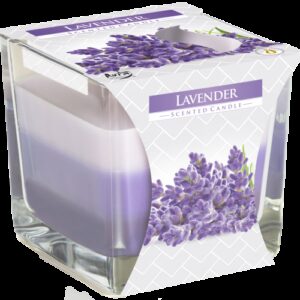 Rainbow Jar Candle - Lavender  (RJC-08)