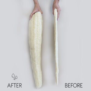 Egyptian Luxury Whole Loofah - Compressed - 23cm (ELLoofah-04)