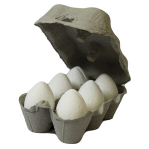 Bath Eggs - Coconut (Begg-04DS)