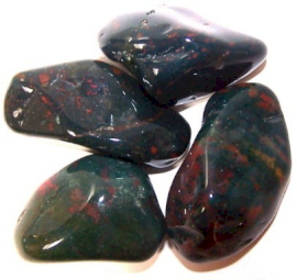 Pack of 24 Bloodstone L (B grade) (Tbm-20B)