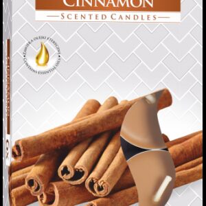 Set of 6 Scented Tealights - Cinnamon  (STL-19)