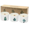 Med Botanical Candles - Japanese Garden  (BotC-01)