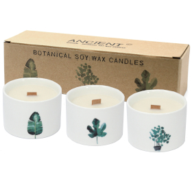 Med Botanical Candles - Japanese Garden (BotC-01)