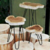 Set of 3 Gamell Wood Plant Stands - Whitewash  (PSS-01)