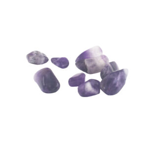 Pack of 24 Amethyst Banded M (B grade)  (TbmM-01B)