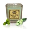 Soybean Jar Candle - Cucumber & Mint  (SoyC-05)