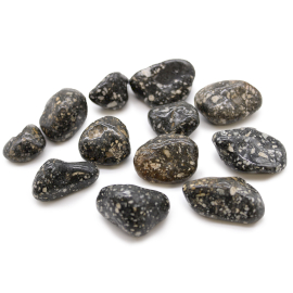 Bag of 12 Medium African Tumble Stones - Guinea Fowl Bag of 12 Medium (ATumbleM-04)
