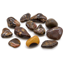 Bag of 12 Medium African Tumble Stones - Picture Nguni (ATumbleM-21)