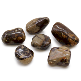 Bag of 6 Large African Tumble Stones - Jasper Nguni (ATumbleL-06)