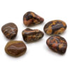 Bag of 6 Large African Tumble Stones - Picture Nguni  (ATumbleL-21)