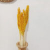 Cantal Grass Bunch - Amber  (CGB-02)