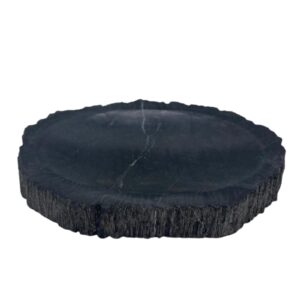 Petrified Wood Black Soap Dish (SSD-14)
