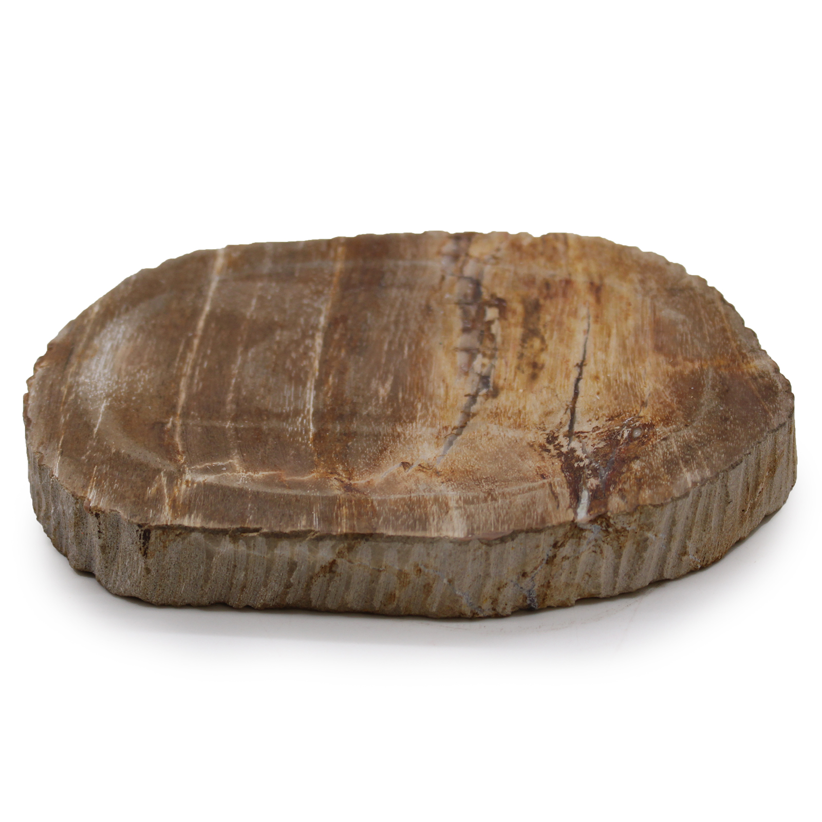 Petrified Wood Brown Soap Dish  (SSD-15)
