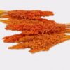 Cantal Grass Bunch - Orange  (CGB-03)