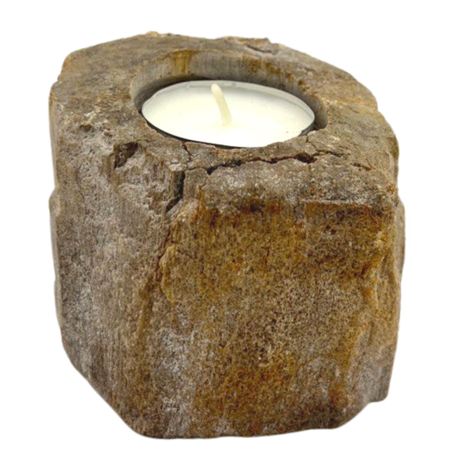 Petrified Wood Candle Holder - Single Low  (PetW-01)