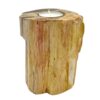 Petrified Wood Candle Holder - Single Tall  (PetW-02)