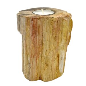 Petrified Wood Candle Holder - Single Tall  (PetW-02)