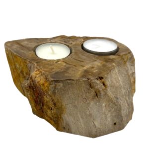 Petrified Wood Candle Holder - Double (PetW-03)