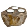 Petrified Wood Candle Holder - Triple  (PetW-04)