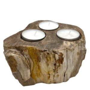 Petrified Wood Candle Holder - Triple (PetW-04)