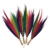 Set 4 - Pampas Broom - Rainbow Colours  (NPB-06)