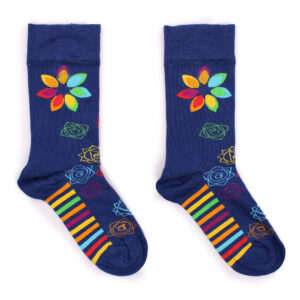 Hop Hare Bamboo Socks (41-46) - Rainbow Chakra  (BamS-19M)