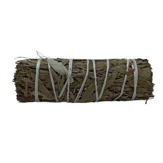 Smudge Stick - White Sage and Pirul Foliage  (MSage-56)