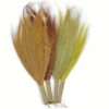 Set 4 - Pampus Long Broom - Natural colours  (NPB-02)