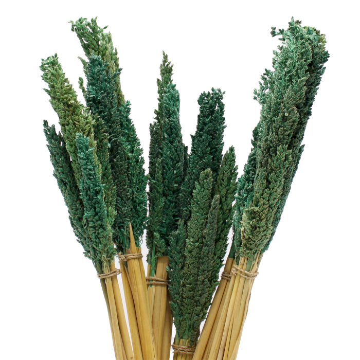 Cantal Grass Bunch - Teal  (CGB-08)