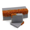 Coastal Wilderness Soap Bar - 100g  (DSHCS-48)