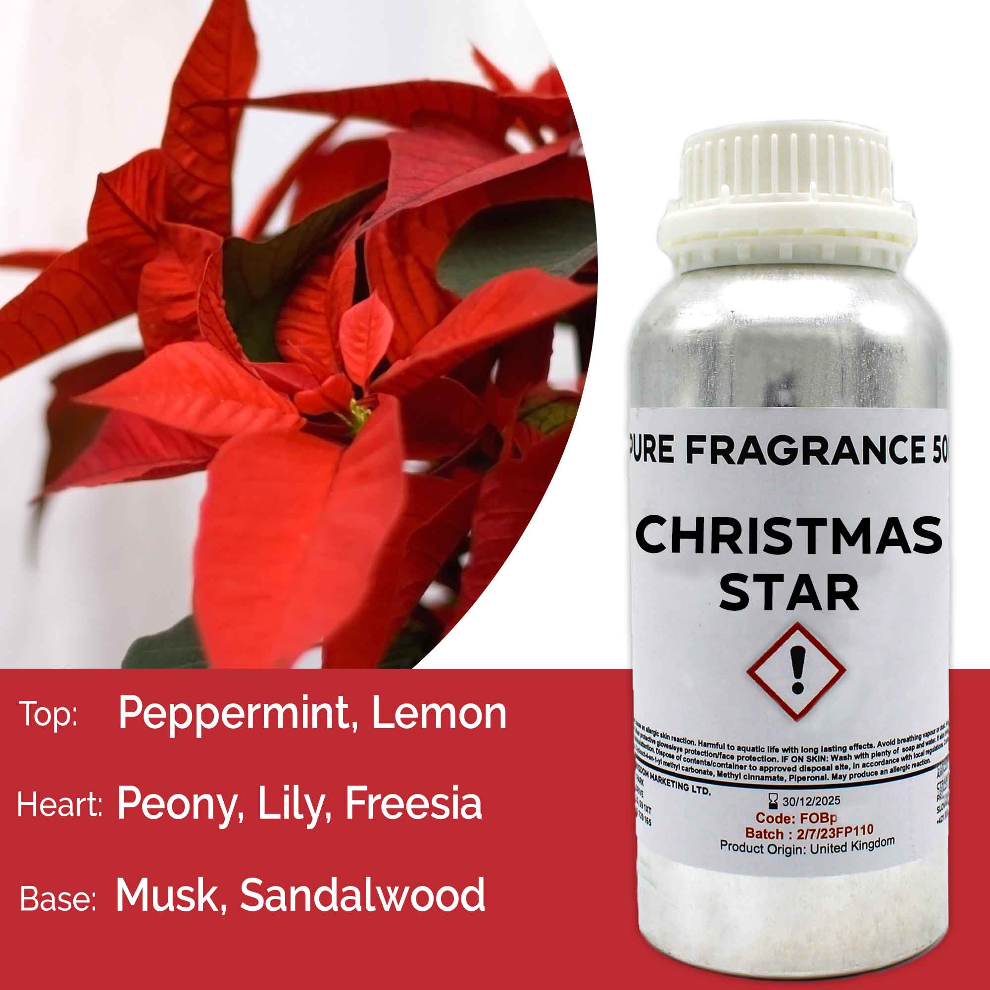 Christmas Star Pure Fragrance Oil - 500ml (FOBP-149)