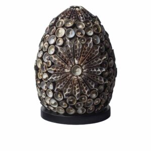 Boho Sea Shell Lamp - Chocolate Twist Oval - 15cm (BBSL-06)