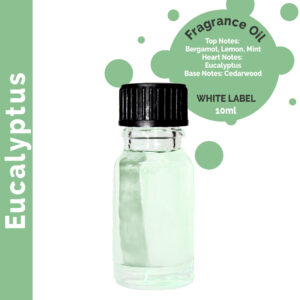 10 ml Eucalyptus Fragrance Oil - UNLABELLED  (ULFO-22)