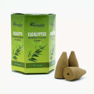 Masala Backflow Incense pack of 10 - Eucalyptus  (ABFi-02)
