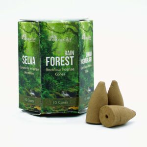 Masala Backflow Incense pack of 10 - Rain Forest  (ABFi-10)
